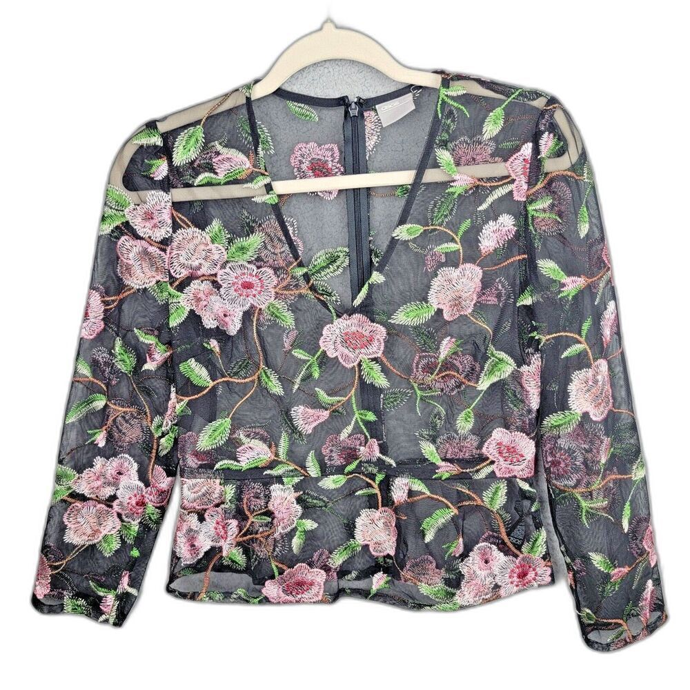 ASOS Peplum Top Black 6 Floral Embroidered Sheer Mesh Coquette V Neck